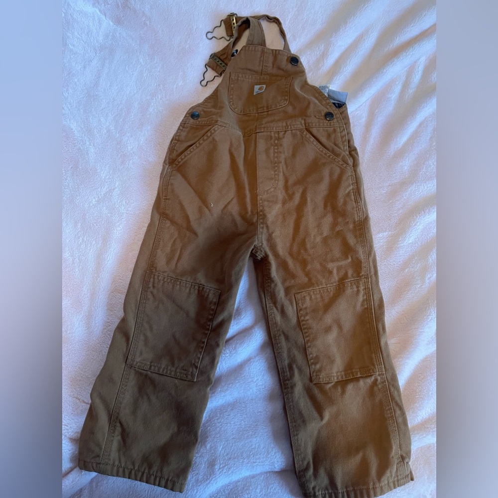 2t insulated carhartt overalls